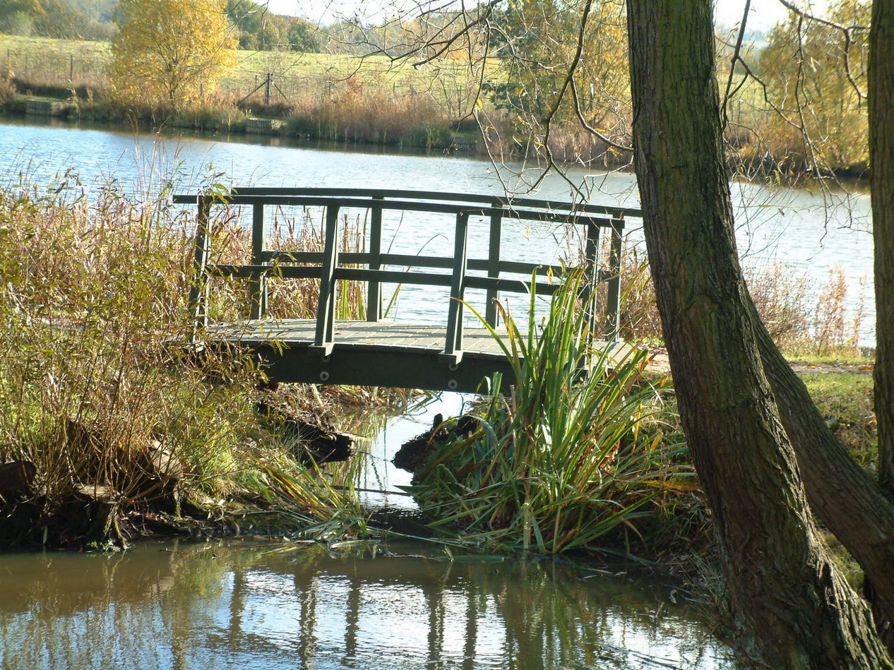 Monet Style bridge